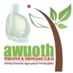 Awuoth